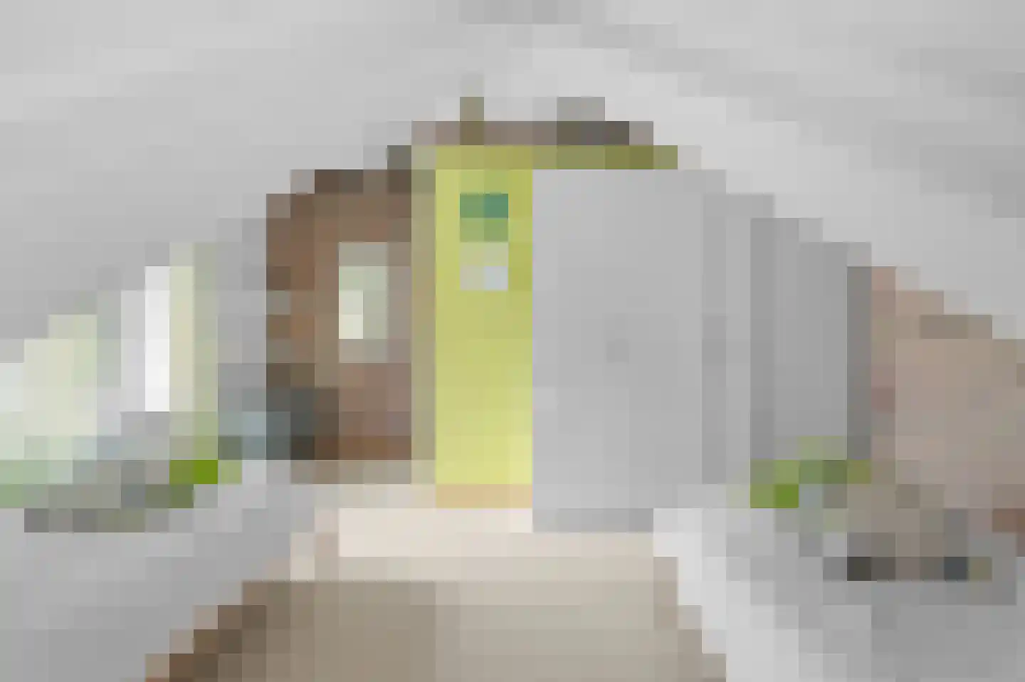 Raalterweg 5 Wijhe thumbnail 31