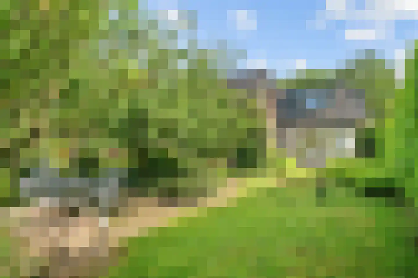 Raalterweg 5 Wijhe thumbnail 36