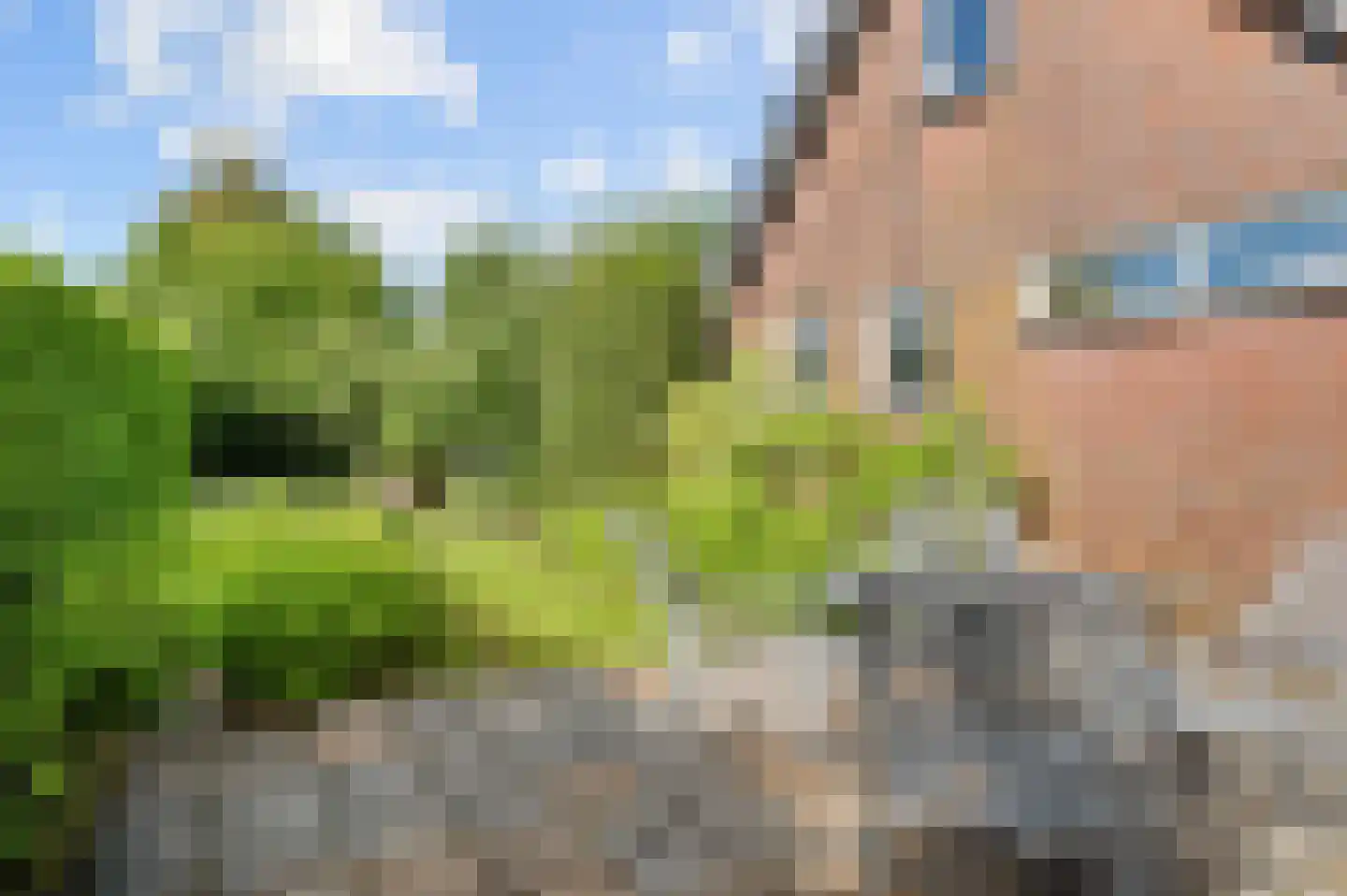 Raalterweg 5 Wijhe thumbnail 38