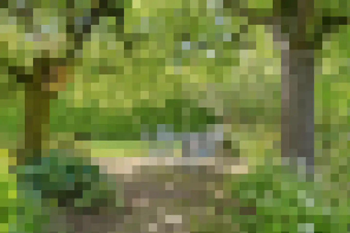 Raalterweg 5 Wijhe thumbnail 39