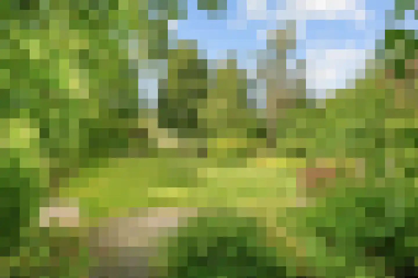 Raalterweg 5 Wijhe thumbnail 40