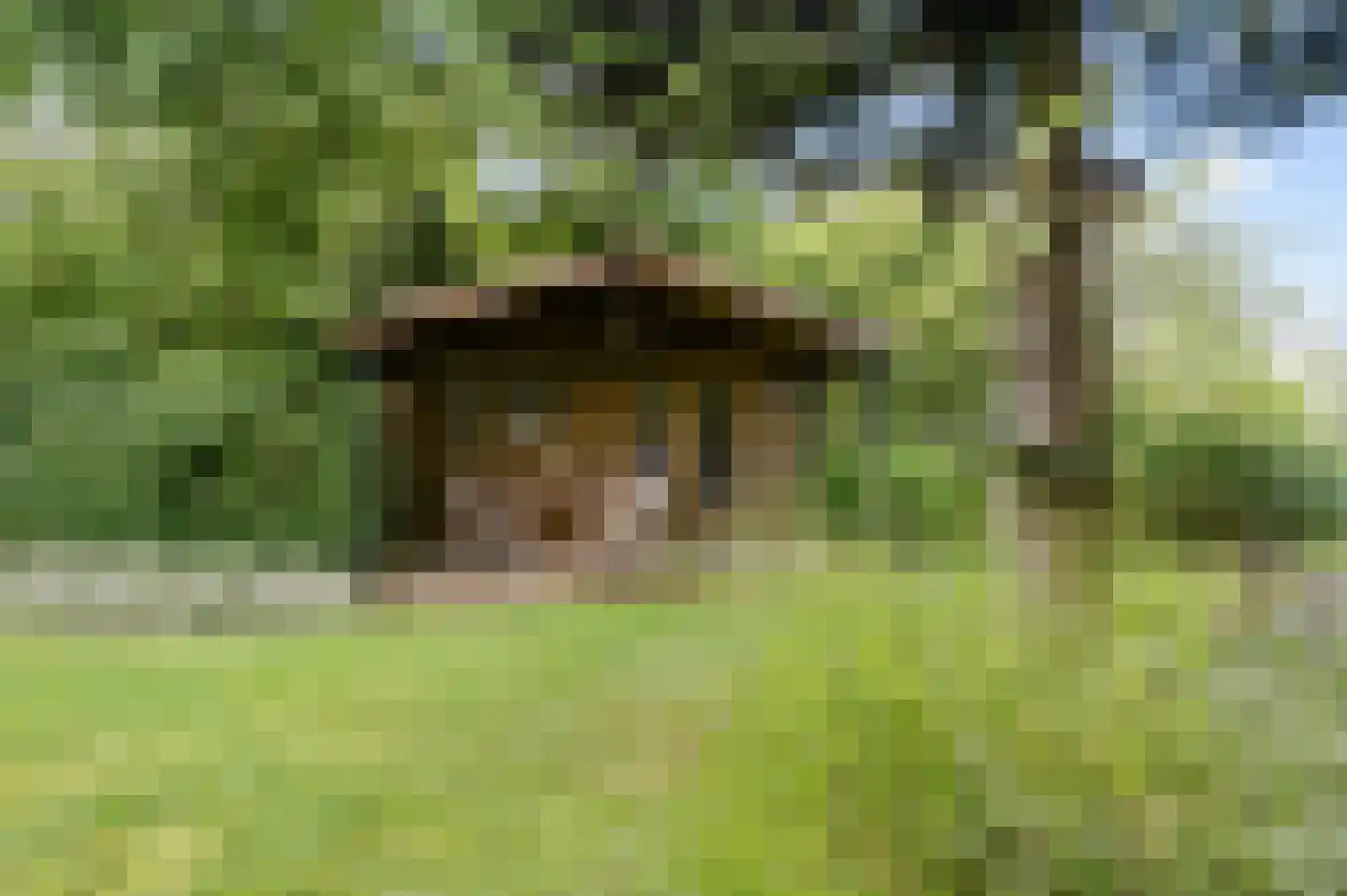 Raalterweg 5 Wijhe thumbnail 41