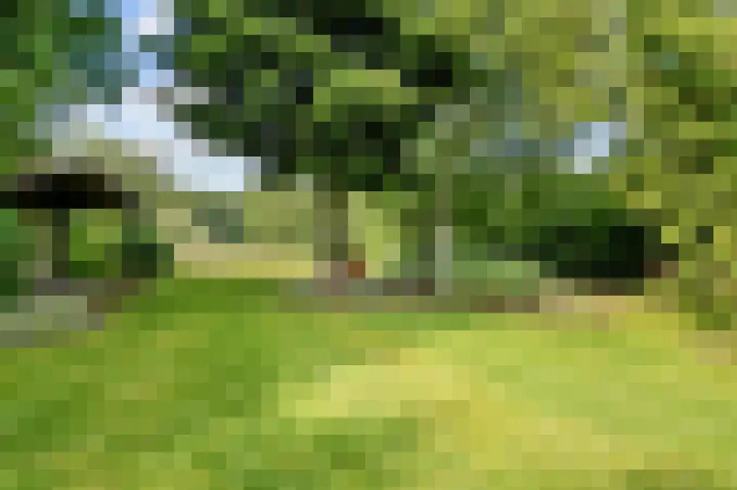 Raalterweg 5 Wijhe thumbnail 42