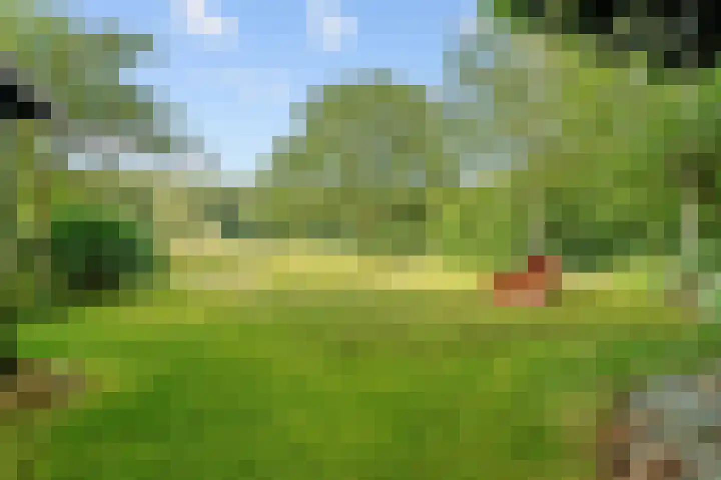 Raalterweg 5 Wijhe thumbnail 43