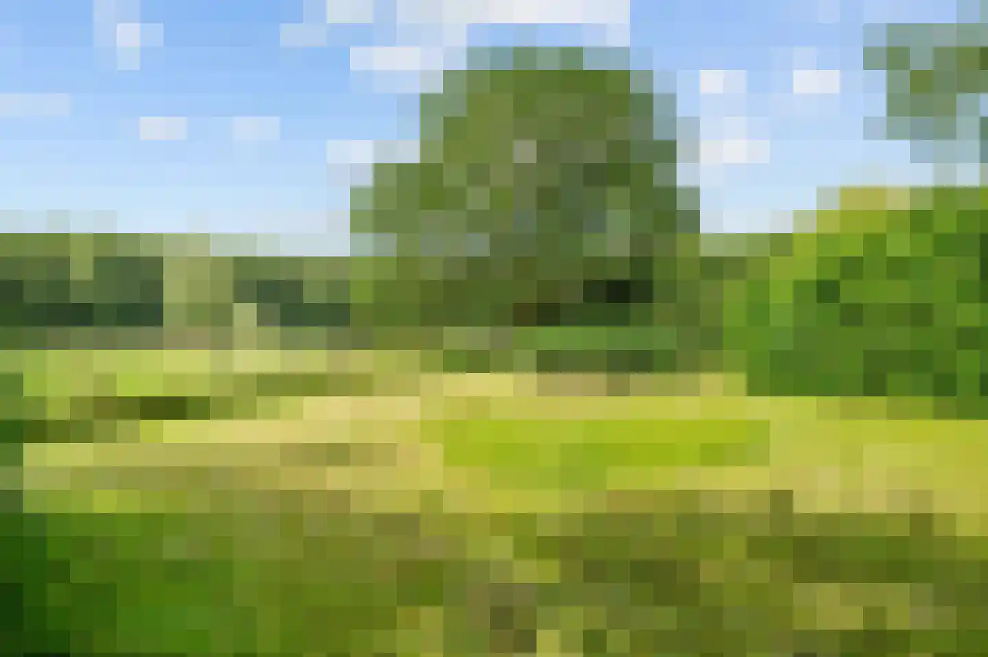 Raalterweg 5 Wijhe thumbnail 44