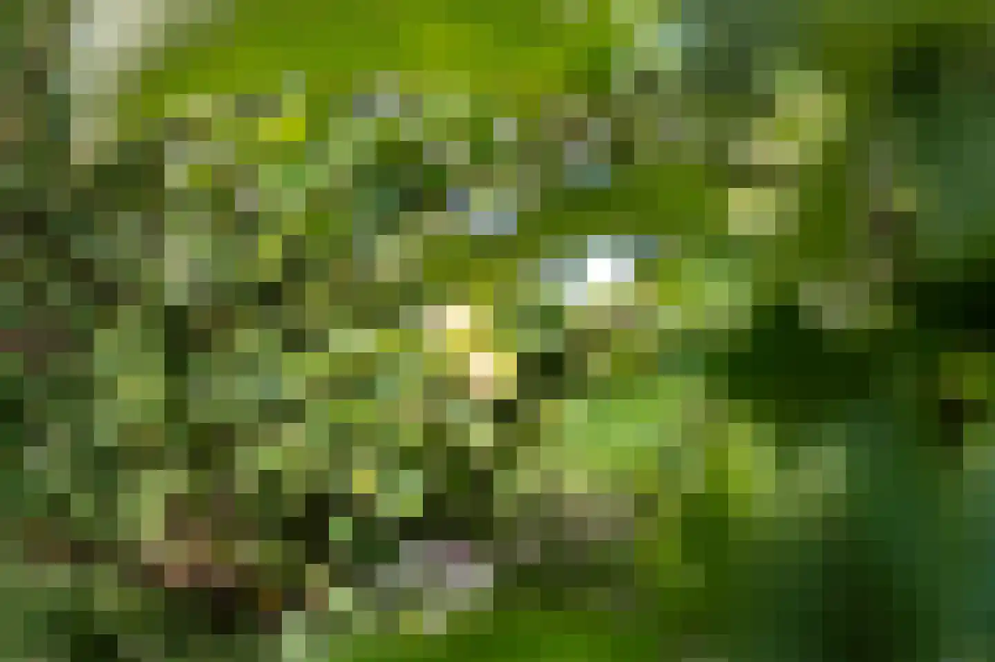 Raalterweg 5 Wijhe thumbnail 45