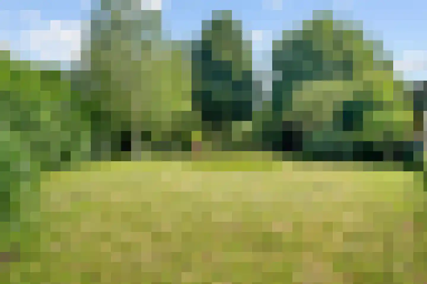 Raalterweg 5 Wijhe thumbnail 46