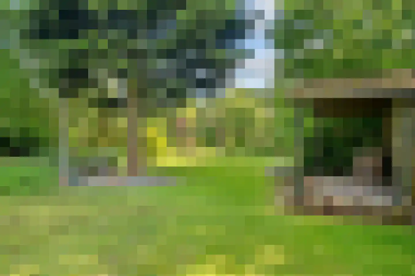 Raalterweg 5 Wijhe thumbnail 47