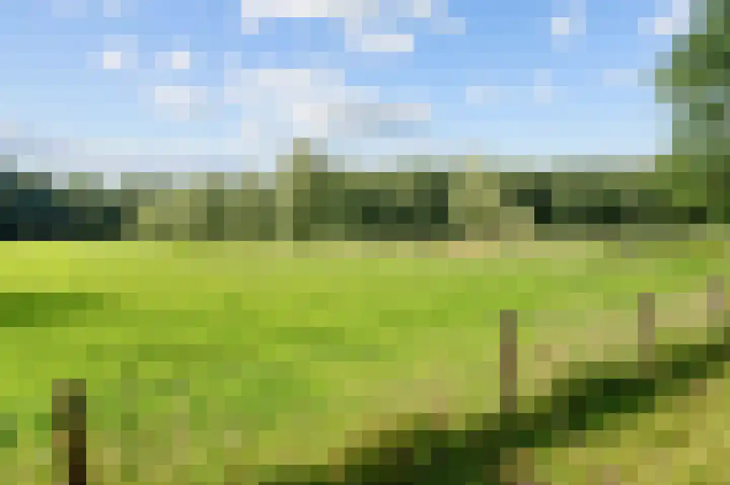 Raalterweg 5 Wijhe thumbnail 48