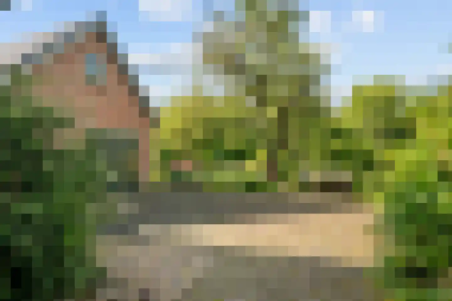 Raalterweg 5 Wijhe thumbnail 49