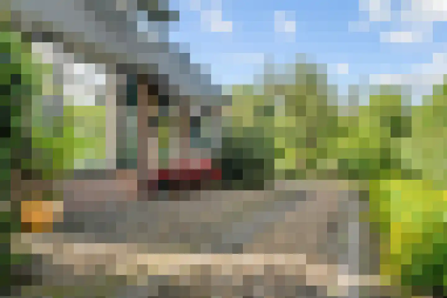 Raalterweg 5 Wijhe thumbnail 51