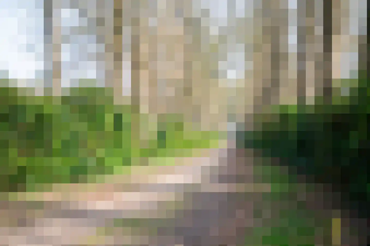 Raalterweg 5 Wijhe thumbnail 54