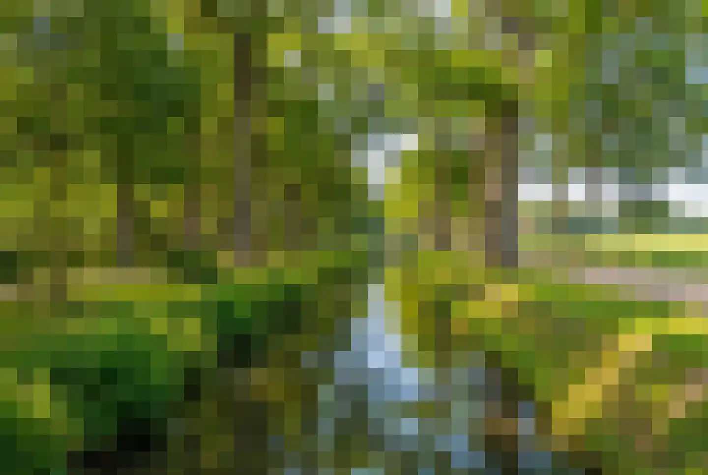 Raalterweg 5 Wijhe thumbnail 56