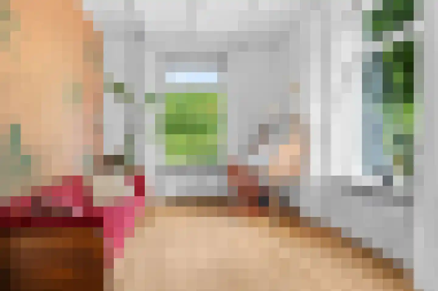 Raalterweg 5 Wijhe thumbnail 9