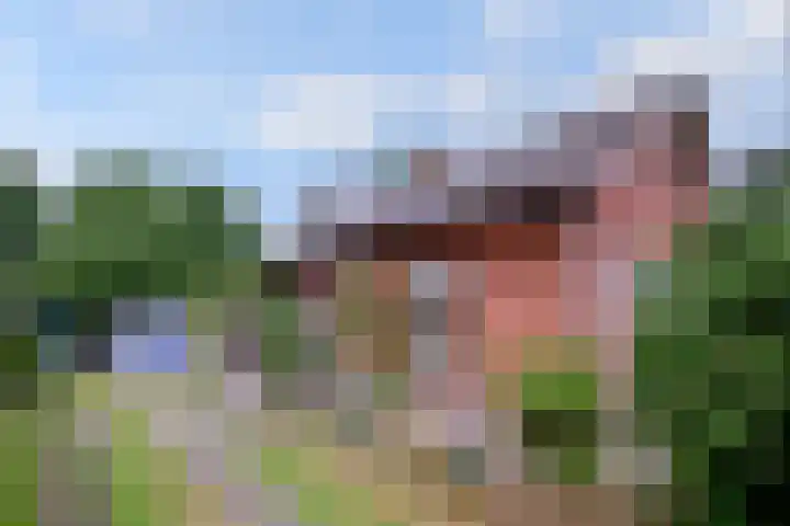 Raalterweg 55 b in Wesepe