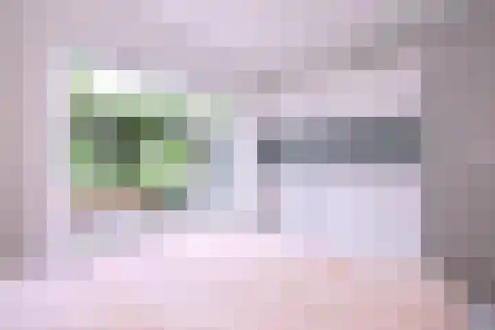 Raalterweg 55 b Wesepe thumbnail 10
