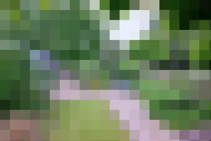 Raalterweg 55 b Wesepe thumbnail 24