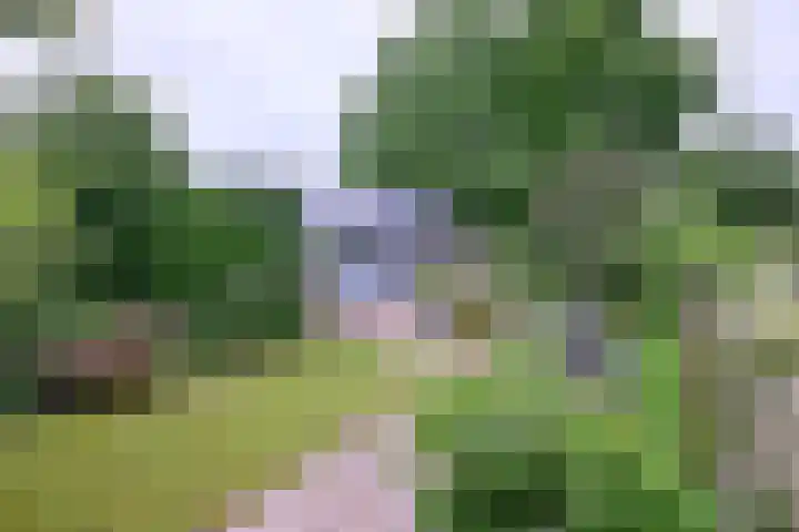 Raalterweg 55 b Wesepe thumbnail 25