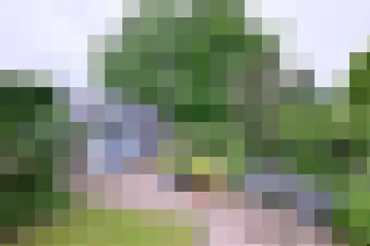 Raalterweg 55 b Wesepe thumbnail 26