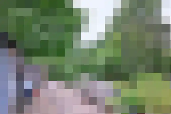 Raalterweg 55 b Wesepe thumbnail 27