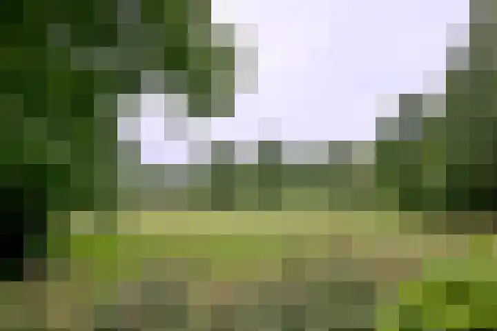 Raalterweg 55 b Wesepe thumbnail 28