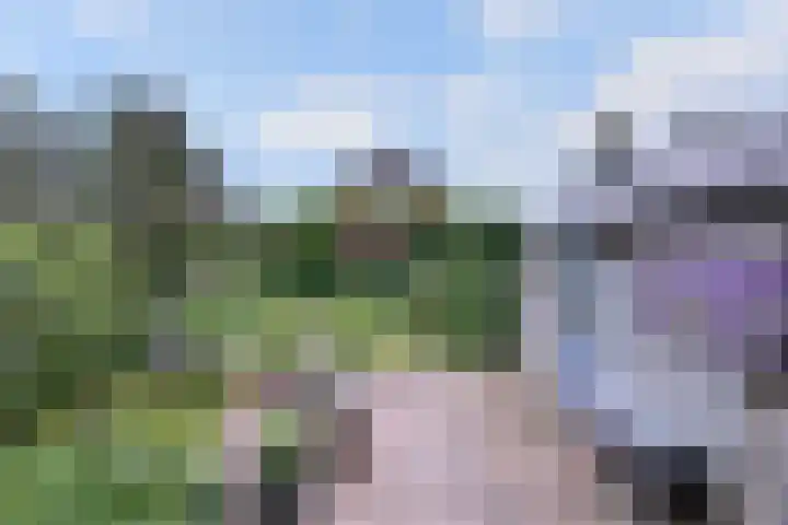 Raalterweg 55 b Wesepe thumbnail 29