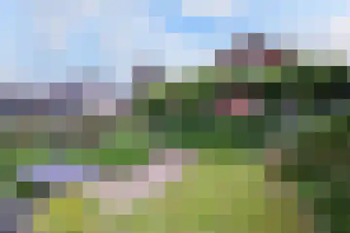 Raalterweg 55 b Wesepe thumbnail 30
