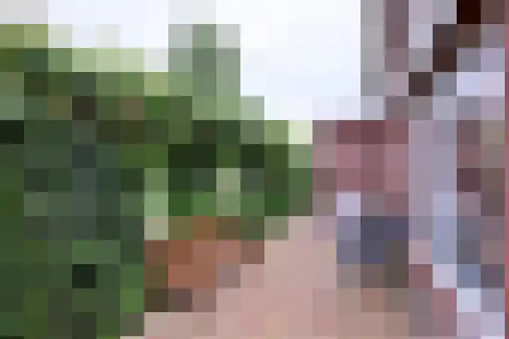 Raalterweg 55 b Wesepe thumbnail 32
