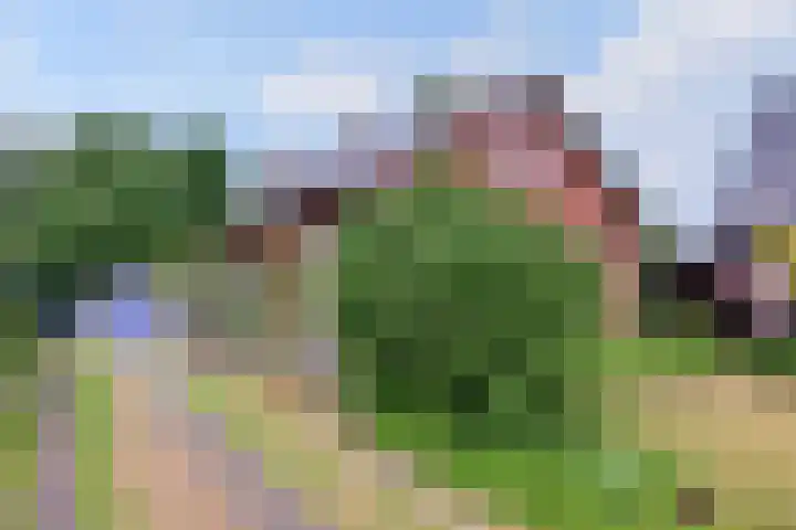 Raalterweg 55 b Wesepe thumbnail 33