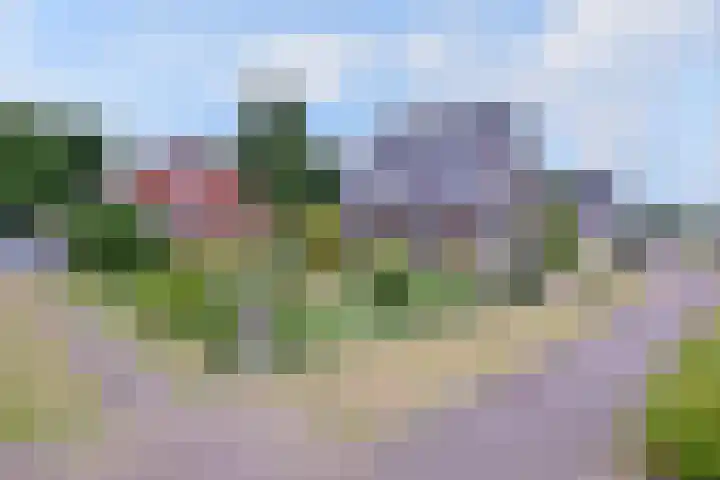Raalterweg 55 b Wesepe thumbnail 34