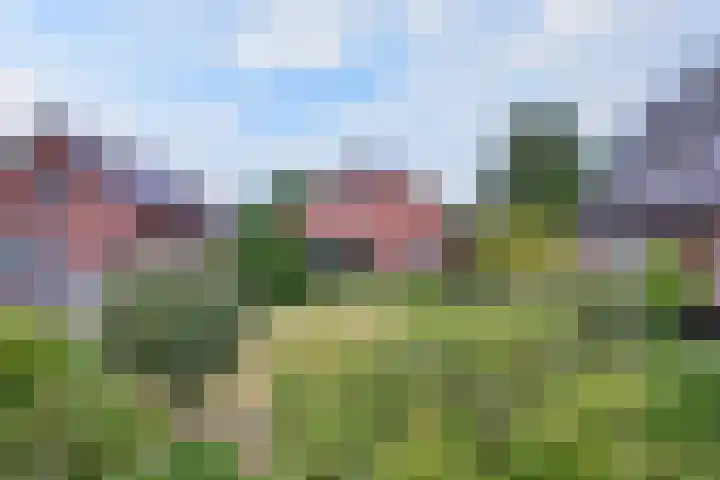 Raalterweg 55 b Wesepe thumbnail 35