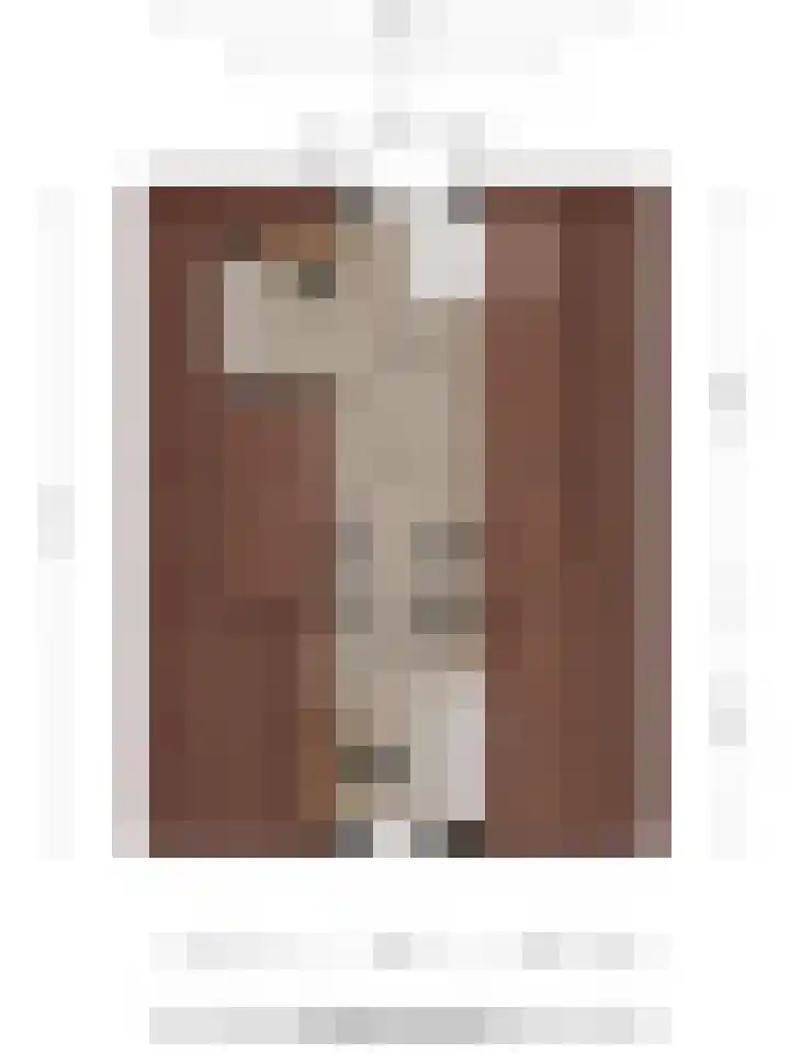Raalterweg 55 b Wesepe thumbnail 39