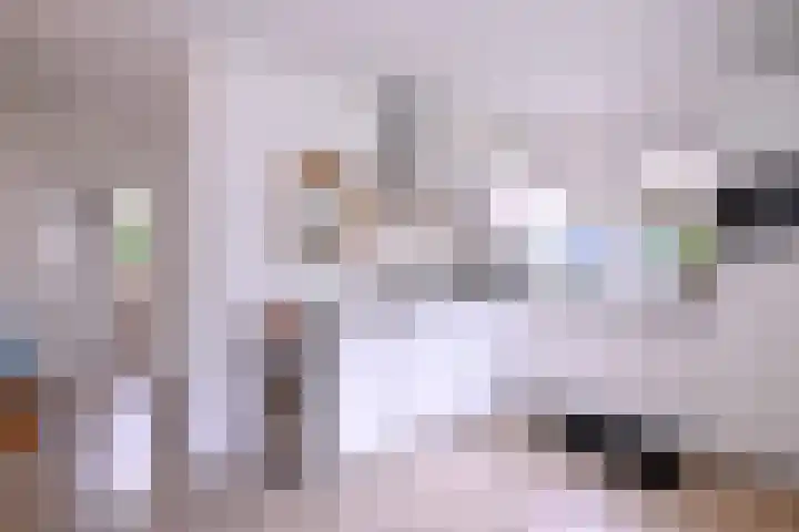 Raalterweg 55 b Wesepe thumbnail 8