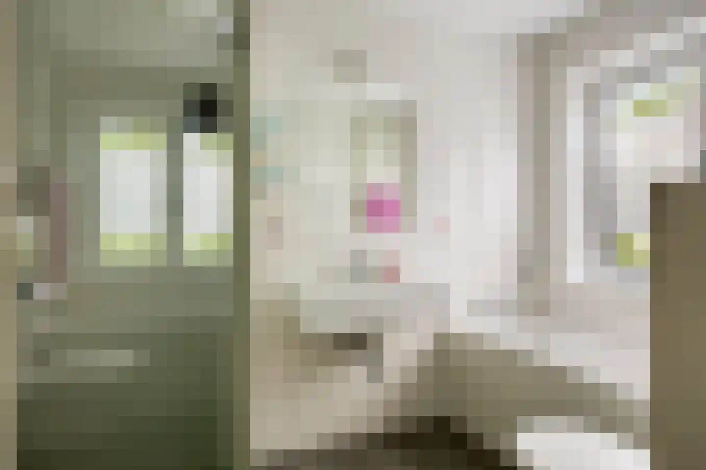 Raalterweg 7 A Deventer thumbnail 34