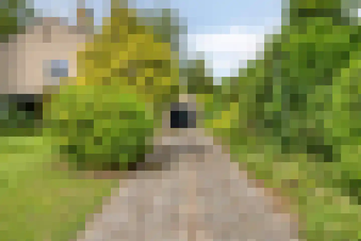 Raalterweg 7 A Deventer thumbnail 4