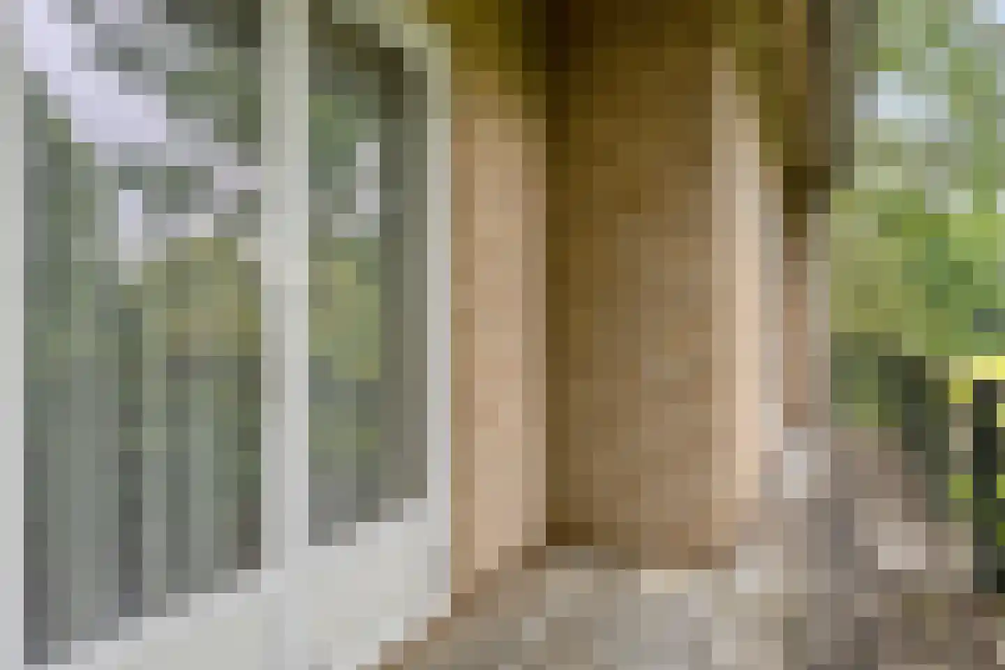 Raalterweg 7 A Deventer thumbnail 44