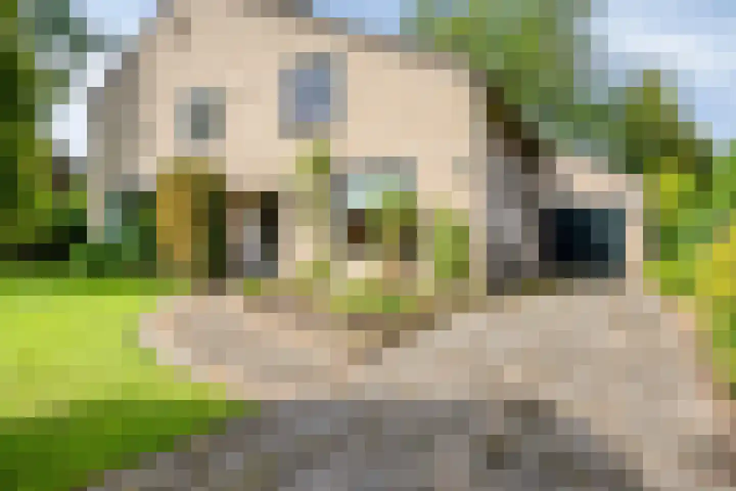 Raalterweg 7 A Deventer thumbnail 5