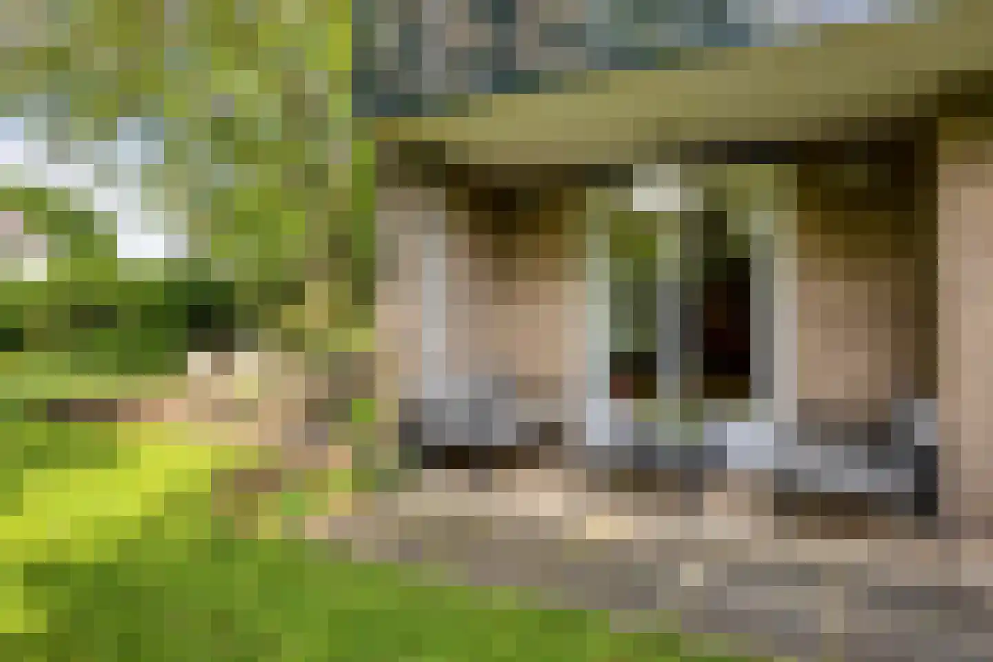 Raalterweg 7 A Deventer thumbnail 50