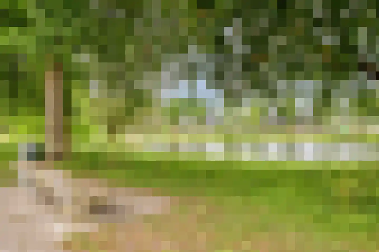 Raalterweg 7 A Deventer thumbnail 61