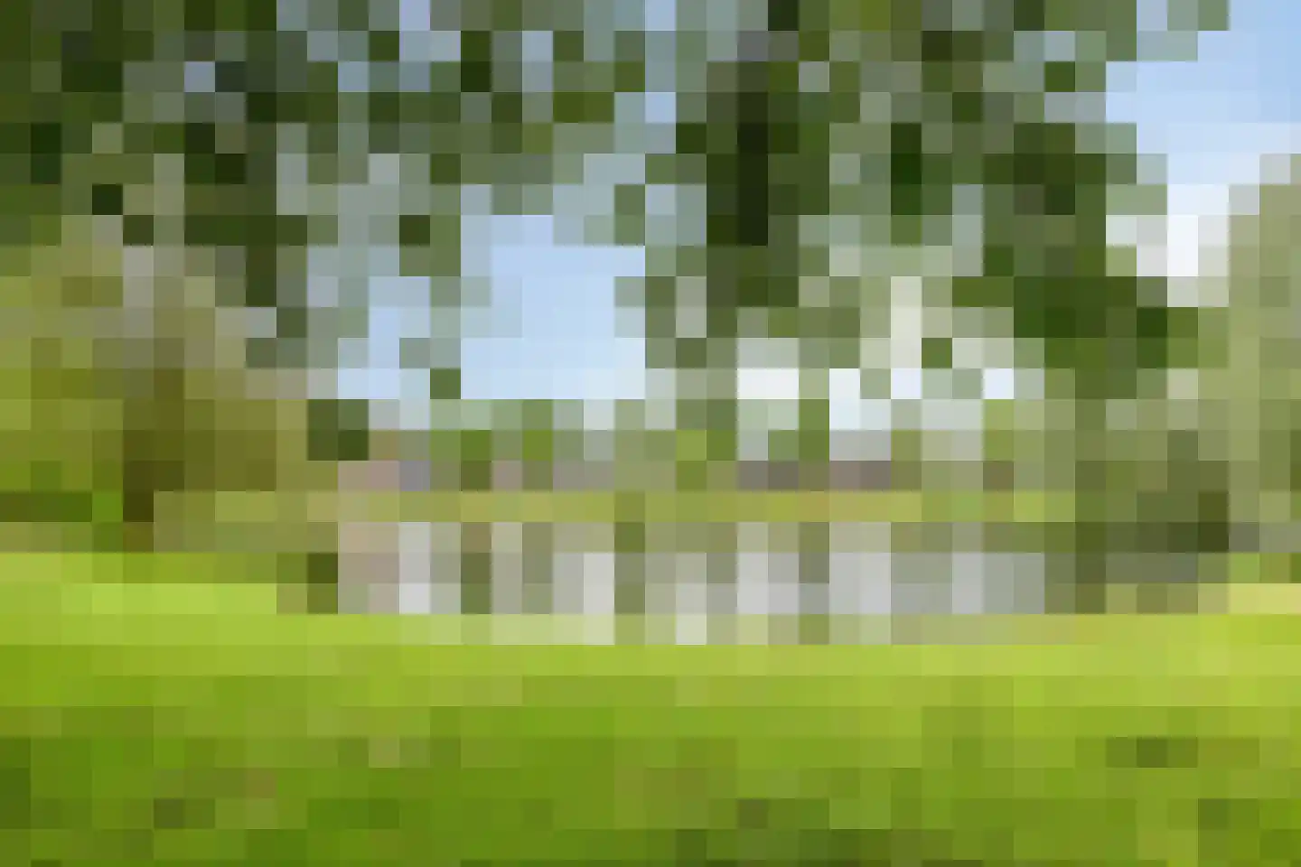 Raalterweg 7 A Deventer thumbnail 65