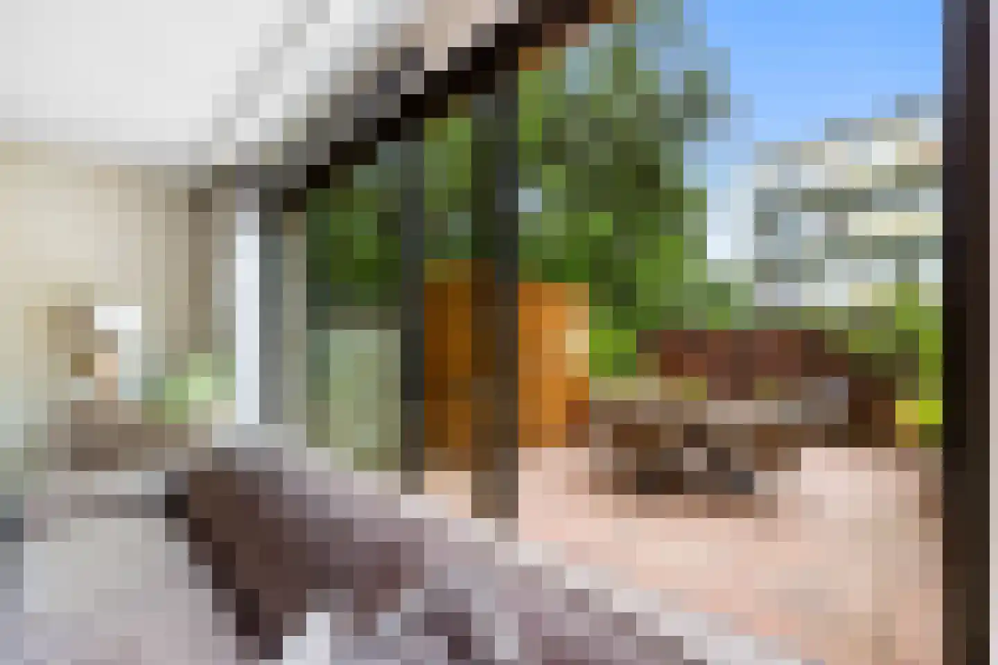 Raaltestraat 12 Den Haag thumbnail 12