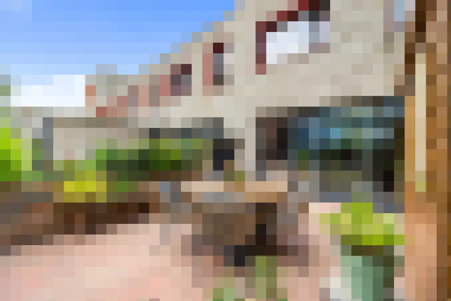 Raaltestraat 12 Den Haag thumbnail 14