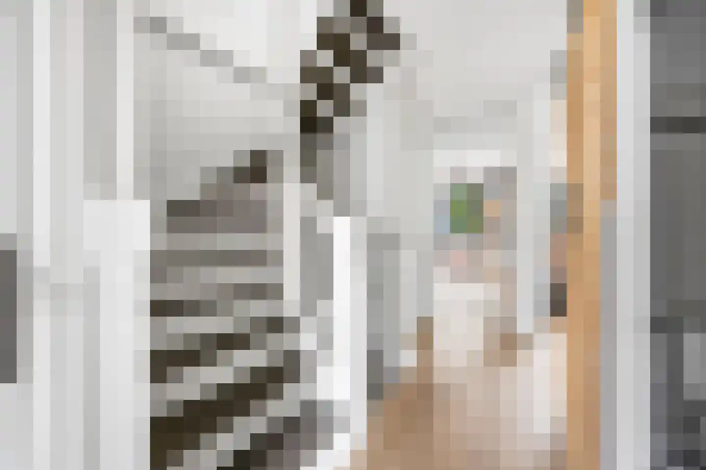 Raaltestraat 12 Den Haag thumbnail 16