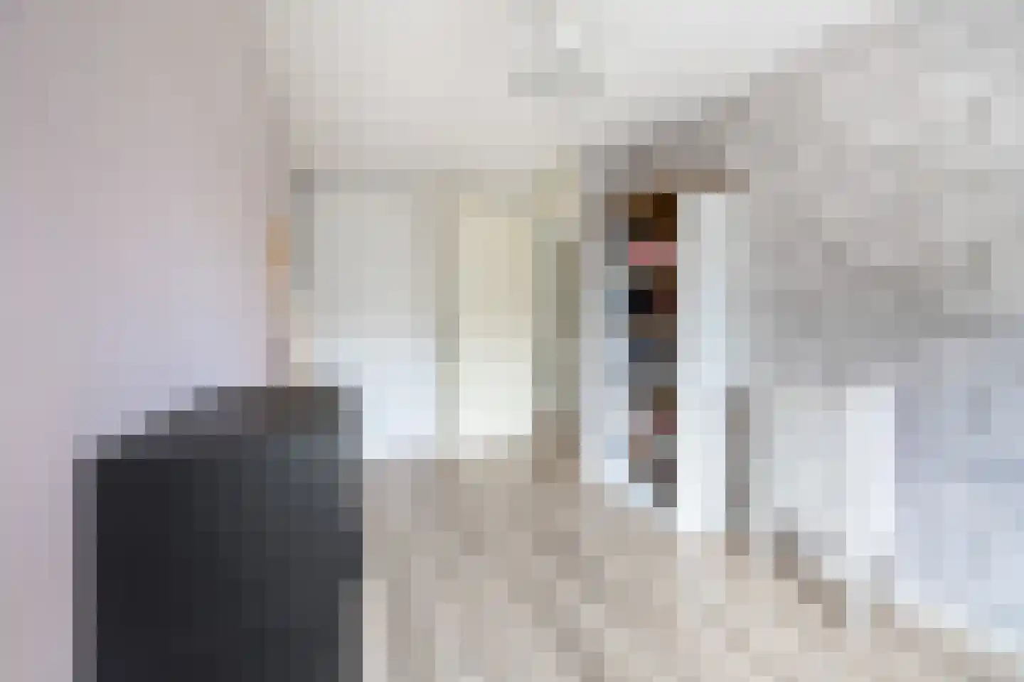 Raaltestraat 12 Den Haag thumbnail 35