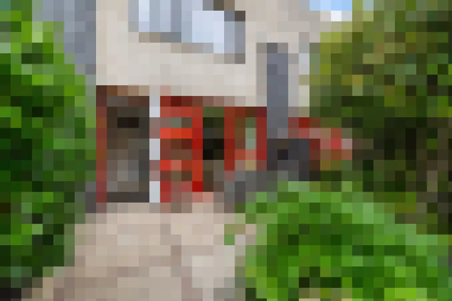 Raaltestraat 12 Den Haag thumbnail 4
