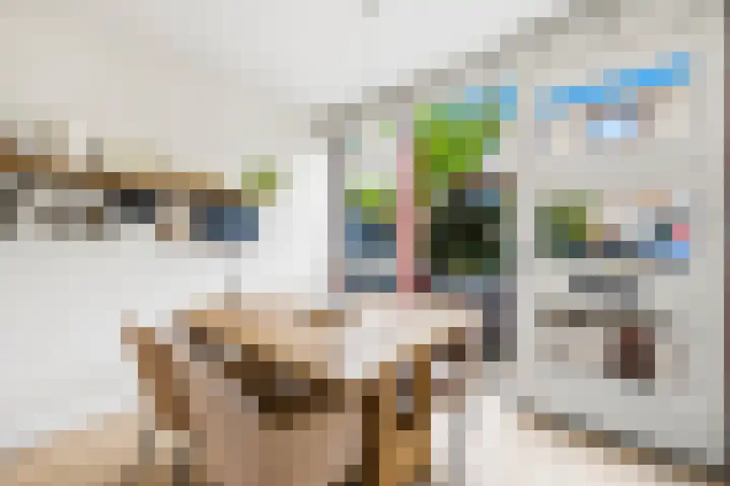 Raaltestraat 12 Den Haag thumbnail 6