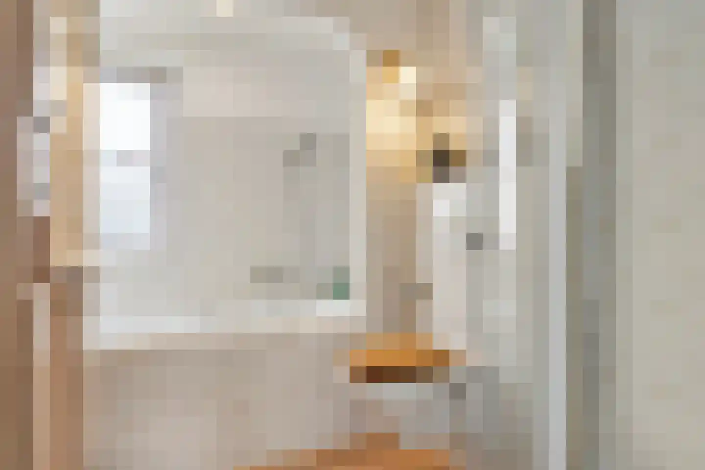 Raaltestraat 29 Tilburg thumbnail 21