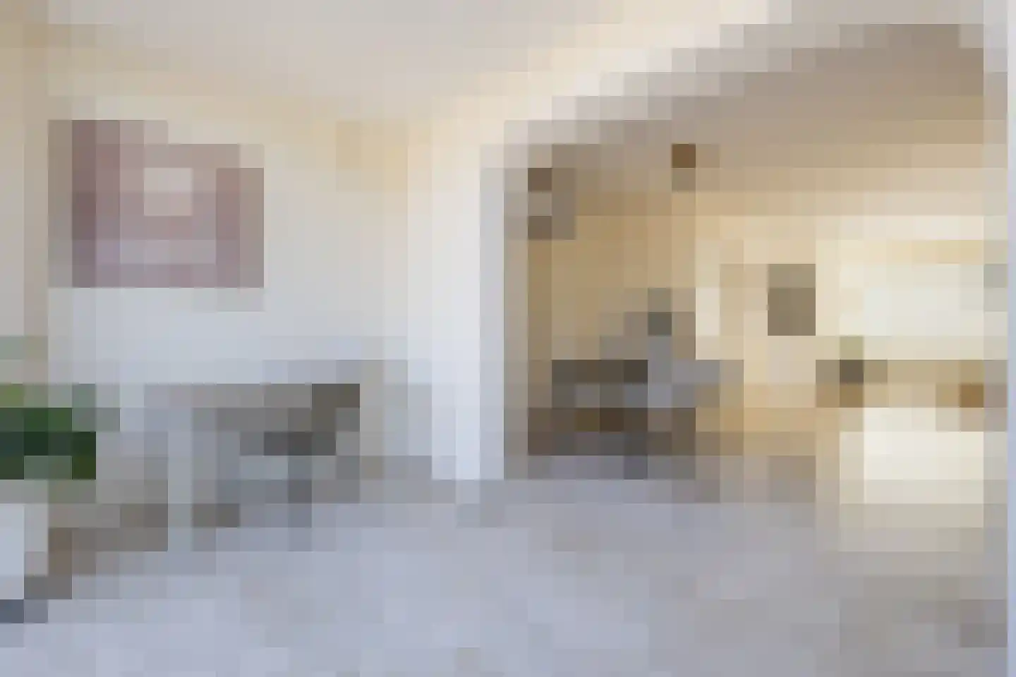 Raaltestraat 37 Tilburg thumbnail 12