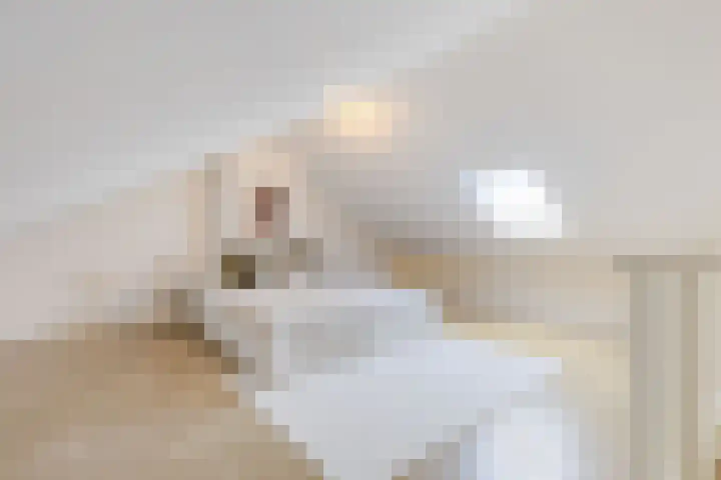 Raaltestraat 37 Tilburg thumbnail 36