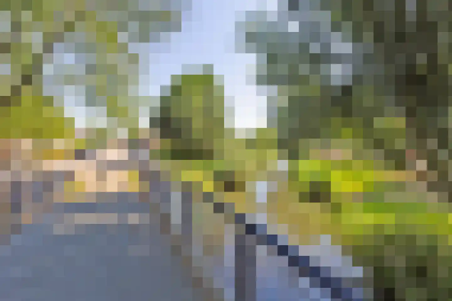 Raaltestraat 37 Tilburg thumbnail 46